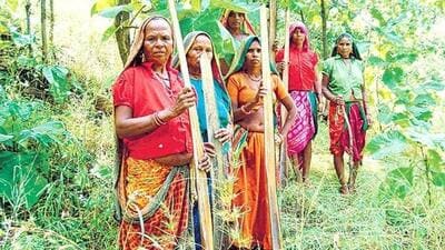 Minister of state for environment Kirti Vardhan Singh said the National Forest Policy, 1988, emphasises the importance of closely associating tribal communities in the protection, regeneration, and development of forests. (Representative photo) Minister of state for environment Kirti Vardhan Singh said the National Forest Policy, 1988, emphasises the importance of closely associating tribal communities in the protection, regeneration, and development of forests. (Representative photo)