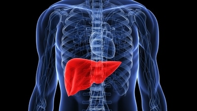 Know how to support your liver to the fullest by adopting the right foods into your diet. (Twitter/AHealthyBod) Know how to support your liver to the fullest by adopting the right foods into your diet. (Twitter/AHealthyBod)