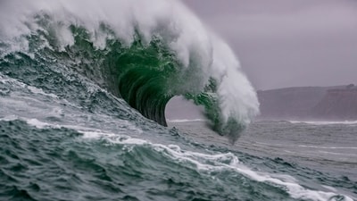 Chilling predictions that have come true in 2025 Chilling predictions that have come true in 2025