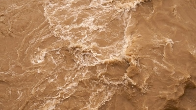 Representational. (Unsplash) Representational. (Unsplash)