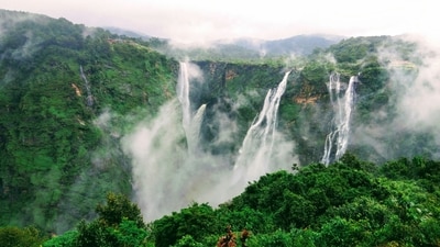 The Cauvery river is overflowing with high levels of water this monsoon, making for a tasty treat for naturists with lush greenery and spectacular sights. (Unsplash) The Cauvery river is overflowing with high levels of water this monsoon, making for a tasty treat for naturists with lush greenery and spectacular sights. (Unsplash)