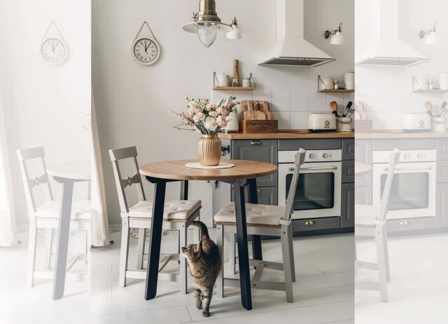 A loved one, pet or comforting routine all make a house feel like home. (ADOBE STOCK) A loved one, pet or comforting routine all make a house feel like home. (ADOBE STOCK)