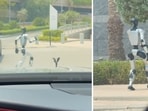 Snippet of a humanoid robot in Dubai. Snippet of a humanoid robot in Dubai.