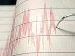 An earthquake of magnitude 3.3 on the Richter scale was recorded at 12:46 am, with its epicentre 15 km east of Rohtak at a depth of 10 km, the National Centre for Seismology said. (HT File)