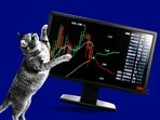 Why the Latest Meme Stock Craze Won’t Take Down the Overall Market