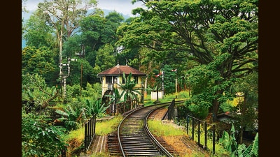 In The Wanderer, the train is a metaphor for the country (Shutterstock) In The Wanderer, the train is a metaphor for the country (Shutterstock)