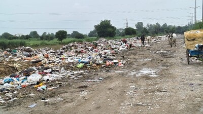 Massive heaps of garbage, construction waste and unmanaged wood lie scattered across residential and industrial sectors, especially IMT Sector 8. (HT PHOTO) Massive heaps of garbage, construction waste and unmanaged wood lie scattered across residential and industrial sectors, especially IMT Sector 8. (HT PHOTO)