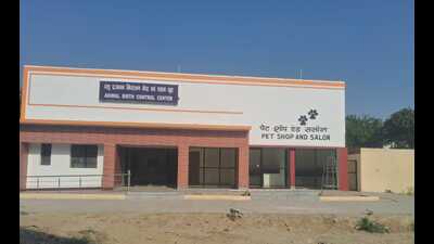 Newly constructed Animal Birth Control Centre in Rasulabad area of Prayagraj . (HT PHOTO) Newly constructed Animal Birth Control Centre in Rasulabad area of Prayagraj . (HT PHOTO)