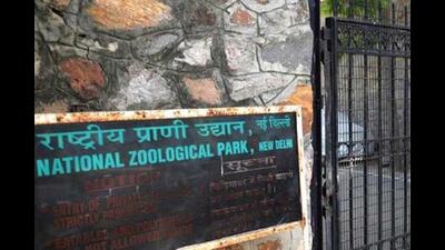 Officials said the raise is to make the prices at par with other zoological parks across the country. (AFP Photo) Officials said the raise is to make the prices at par with other zoological parks across the country. (AFP Photo)