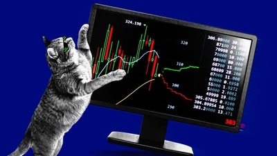 Why the Latest Meme Stock Craze Won’t Take Down the Overall Market