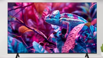 Large screen TVs on Freedom sale.