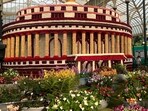 The Lalbagh Flower Show, August 2024. The Lalbagh Flower Show, August 2024.