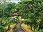 In The Wanderer, the train is a metaphor for the country (Shutterstock) In The Wanderer, the train is a metaphor for the country (Shutterstock)