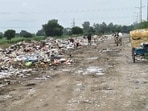 Massive heaps of garbage, construction waste and unmanaged wood lie scattered across residential and industrial sectors, especially IMT Sector 8. (HT PHOTO) Massive heaps of garbage, construction waste and unmanaged wood lie scattered across residential and industrial sectors, especially IMT Sector 8. (HT PHOTO)