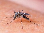 The drive is part of the health department’s ongoing campaign titled ‘Har Shukravaar – Dengue Te Vaar’ (Every Friday – fight dengue). (HT Photo)