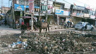Garbage dumped on roads in Manesar. (HT Archive) Garbage dumped on roads in Manesar. (HT Archive)
