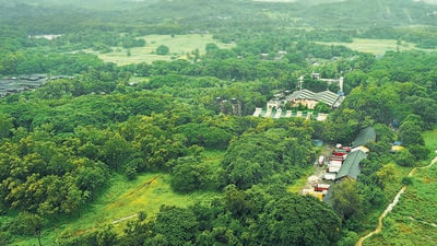 General view of Aarey forest, also known as Aarey Colony. (Photo by Raju Shinde/HT Photo) (Raju Shinde/Hindustan Times) General view of Aarey forest, also known as Aarey Colony. (Photo by Raju Shinde/HT Photo) (Raju Shinde/Hindustan Times)