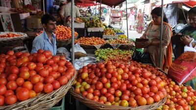 Last year, tomato prices had reached  ₹120 per kg at apni mandis. But the highest-ever was seen in 2023 when tomatoes were selling for  ₹250 per kg during the flashfloods in Himachal. (HT File)