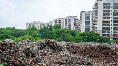 Waste pileup near Belvedere Towers condos. (Parveen Kumar/HT Photo) Waste pileup near Belvedere Towers condos. (Parveen Kumar/HT Photo)