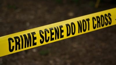 The incident occurred on July 30, when the woman was on a call while travelling in an auto-rickshaw. (Pexel) The incident occurred on July 30, when the woman was on a call while travelling in an auto-rickshaw. (Pexel)