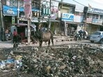 Garbage dumped on roads in Manesar. (HT Archive) Garbage dumped on roads in Manesar. (HT Archive)