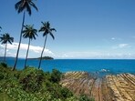 The petitioner prayed that ecologically sensitive areas be excluded from project areas. (AFP) The petitioner prayed that ecologically sensitive areas be excluded from project areas. (AFP)