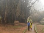 A couple walks along a path at Cubbon Park on a misty afternoon in Bengaluru. (Image for representation)
