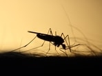 Malaria continues to pose serious challenges to public health and economies, particularly in the tropical and subtropical regions around the world. 