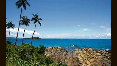 The petitioner prayed that ecologically sensitive areas be excluded from project areas. (AFP) The petitioner prayed that ecologically sensitive areas be excluded from project areas. (AFP)