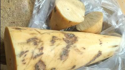 The tusks are currently with police for investigation, a senior police officer of Kailasahar sub-division said. (Sourced) The tusks are currently with police for investigation, a senior police officer of Kailasahar sub-division said. (Sourced)