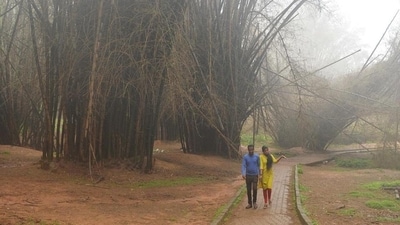 A couple walks along a path at Cubbon Park on a misty afternoon in Bengaluru. (Image for representation) (AFP Photo) A couple walks along a path at Cubbon Park on a misty afternoon in Bengaluru. (Image for representation) (AFP Photo)