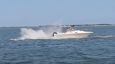 The animal will be towed to a state park on Monday morning for a necropsy to determine the cause of death. (X) The animal will be towed to a state park on Monday morning for a necropsy to determine the cause of death. (X)