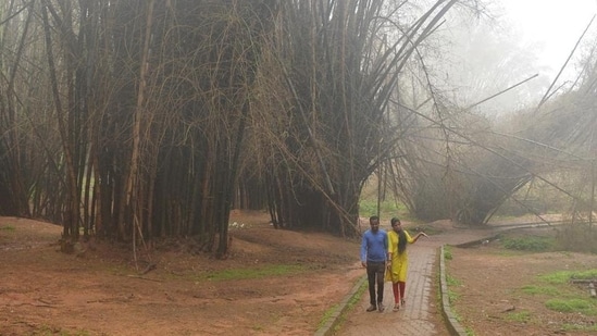 A couple walks along a path at Cubbon Park on a misty afternoon in Bengaluru. (Image for representation) (AFP Photo)