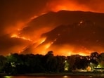Some believe that Baba Vanga's prediction about 'double fire' could refer to wildfires. Some believe that Baba Vanga's prediction about 'double fire' could refer to wildfires.