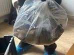 A 22-inch rat was found inside a home in England, prompting horrified reactions 