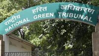 Both the MCD and the DPCC have been directed to file fresh affidavits within eight weeks. (Hindustan Times) Both the MCD and the DPCC have been directed to file fresh affidavits within eight weeks. (Hindustan Times)