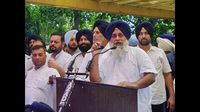 SAD president Sukhbir Singh Badal addressing a gathering in Bathinda on Monday. (Sanjeev Kumar/HT) SAD president Sukhbir Singh Badal addressing a gathering in Bathinda on Monday. (Sanjeev Kumar/HT)