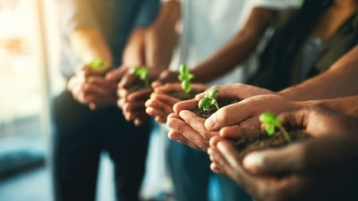Carbon neutrality (Shutterstock) Carbon neutrality (Shutterstock)
