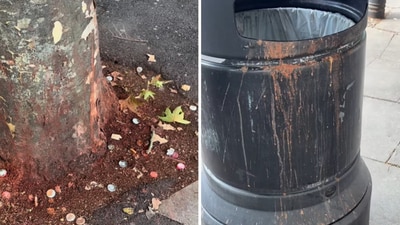 A video of paan stains in Harrow, London has sparked backlash online (X/@harrowonline) A video of paan stains in Harrow, London has sparked backlash online (X/@harrowonline)