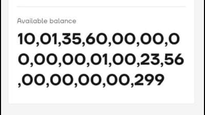 A police investigation later revealed that the staggering “balance” in his account was the result of a technical glitch on the app. (HT Photo/Video Grab) A police investigation later revealed that the staggering “balance” in his account was the result of a technical glitch on the app. (HT Photo/Video Grab)