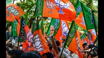 As per the BJP’s constitution, election of at least 50% district presidents is necessary to formally conduct the poll of the state president. (PTI)