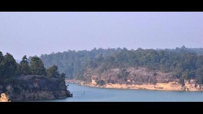 Hasdeo Aranya is one of India’s last remaining old-growth forests. (HT PHOTO) Hasdeo Aranya is one of India’s last remaining old-growth forests. (HT PHOTO)
