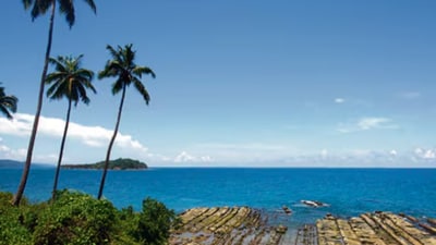 The Great Nicobar Holistic Development project has raised environmental concerns. (AFP) The Great Nicobar Holistic Development project has raised environmental concerns. (AFP)
