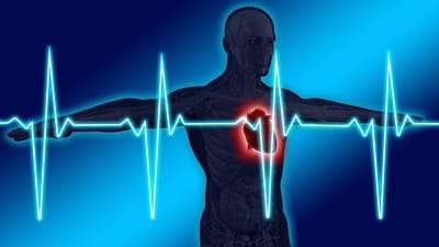 Maintaining a healthy lifestyle through regular exercise and a balanced diet can significantly reduce the risk of severe cardiovascular diseases. (Pixabay ) Maintaining a healthy lifestyle through regular exercise and a balanced diet can significantly reduce the risk of severe cardiovascular diseases. (Pixabay )