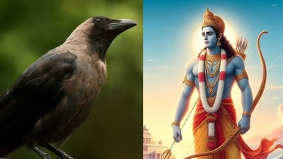 Fake residence certificate application submitted under the name "Kawwa" (crow), and 'Shri Ram' via Bihar’s RTPS portal. Authorities have rejected such applications and launched investigations. (Representative image) Fake residence certificate application submitted under the name "Kawwa" (crow), and 'Shri Ram' via Bihar’s RTPS portal. Authorities have rejected such applications and launched investigations. (Representative image)