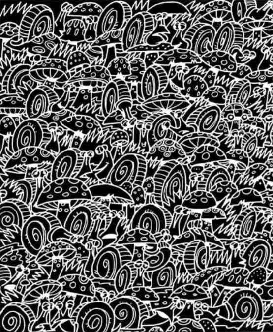 You have 10 seconds to find the hidden car You have 10 seconds to find the hidden car