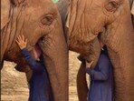 A woman sang to an elephant, who wrapped its trunk around her in a tender moment that captured hearts online.