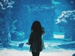 A viral video shows a giant aquarium shattering and crashing down on a crowd of onlookers. A viral video shows a giant aquarium shattering and crashing down on a crowd of onlookers.