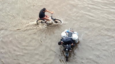 Rain has hit Patiala and other regions over the past few days. (ANI) Rain has hit Patiala and other regions over the past few days. (ANI)