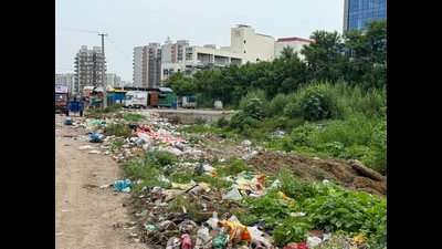 Daily commuters and residents of sector-99 to 102 are facing severe inconvenience due to garbage dumped along the road at Dhankot chowk near Satya Mall in Gurugram. (Parveen Kumar/HT Photo) Daily commuters and residents of sector-99 to 102 are facing severe inconvenience due to garbage dumped along the road at Dhankot chowk near Satya Mall in Gurugram. (Parveen Kumar/HT Photo)